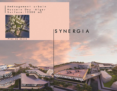 Synergia - School Project (2018)
