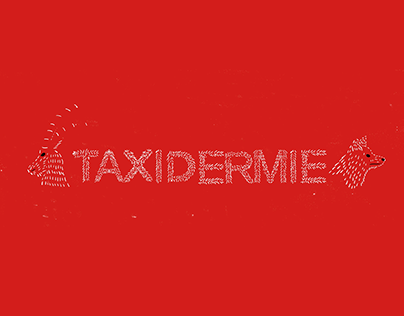 Taxidermie-Musée du Havre