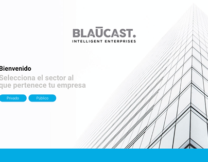 BLAUCAST / WEB PROJECT