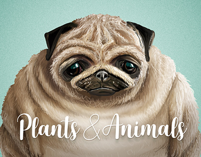 Plants & Animals Illustrations