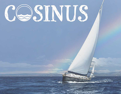 Branding - COSINUS