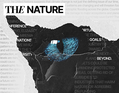 The nature conservancy | Corporate Website