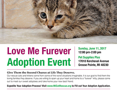MIchigan Cat Rescue Fundraiser Event