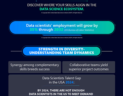 Data Investigation by Data Scientist| Infographic