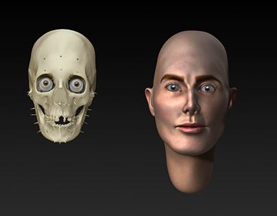 Digital Facial Reconstruction