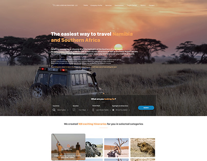 Design Concept travel-agency website "NAF"