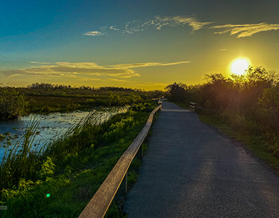 Everglades at Dawn