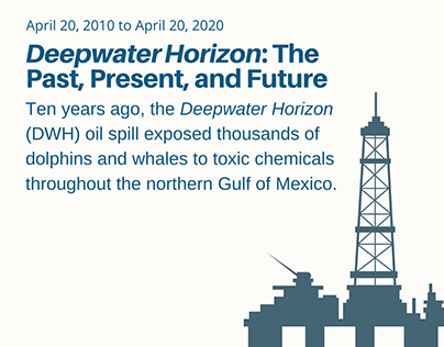 Deepwater Horizon Infographic