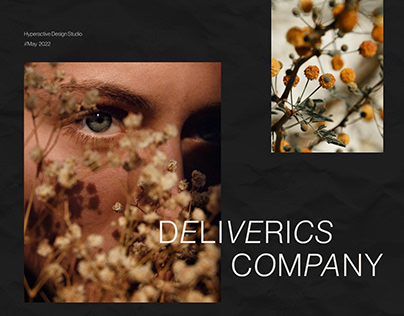 DELIVERICS｜Ecommerce Website Design