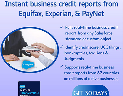 Equifax business credit report inside Salesforce
