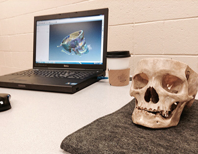 Cranium 3D Laser Scan