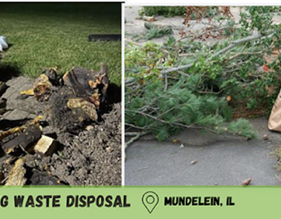 Landscaping Waste Disposal