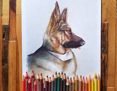 commissioned dog sketch