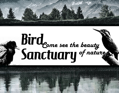 Mock Bird Santuary Flyer