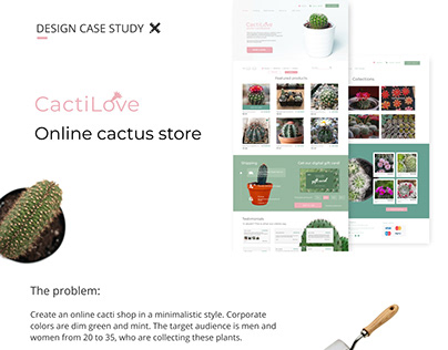 Online cactus store | Case study
