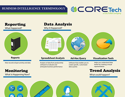 CORE Business Analytics Info-graphic