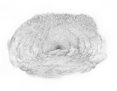 Scientific Illustration - Ice cave on mars