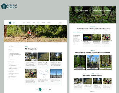 Resilient Forestry_ B2B Website