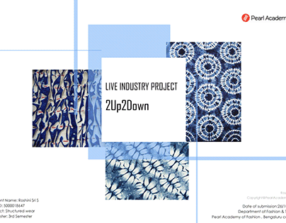 Live Industry Project- 2Up2Down Textiles