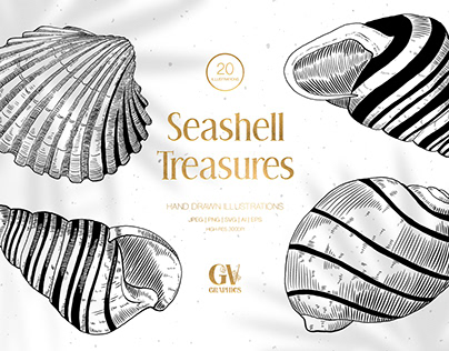 Seashell Treasures Illustrations