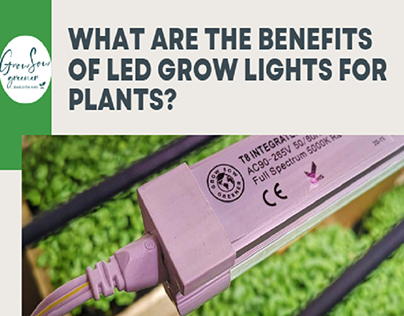 How Do LED Grow Lights Benefit Plants?