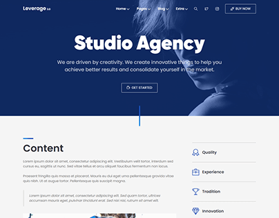 Leverage Studio Agency WordPress Theme