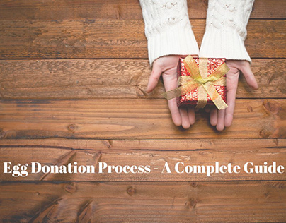 Egg Donation Process - A Complete Guide