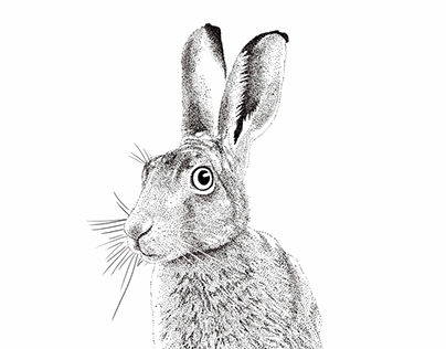 Dotwork Rabbit for Walden Magazine