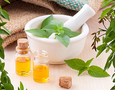 Benefits of Using Herbal Medicine