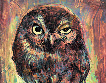 O Pal Owl