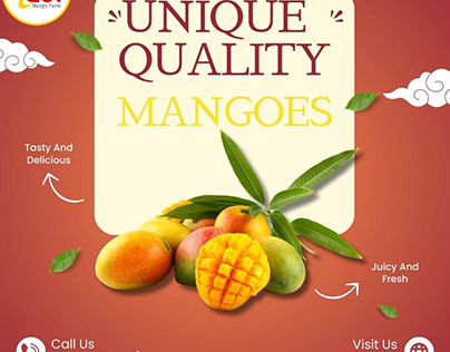 Buy Premium 100% Organic Mangoes in Namakkal