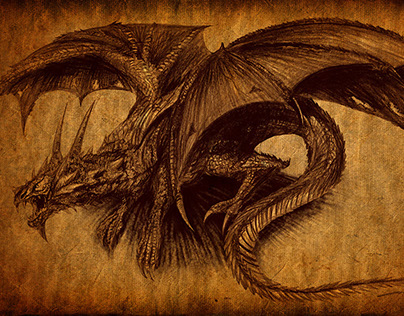 Dragon Concept Drawing