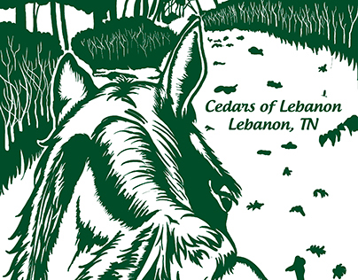 Cedars of Lebanon 2013