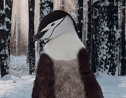 Projet fusion pingouin-panda