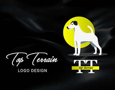 Top Terrain Logo Design