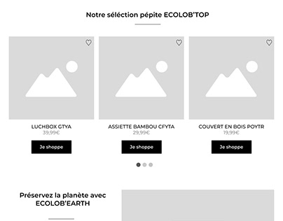 ECOLOBO - Site écolo et design - Projet de fin d'année