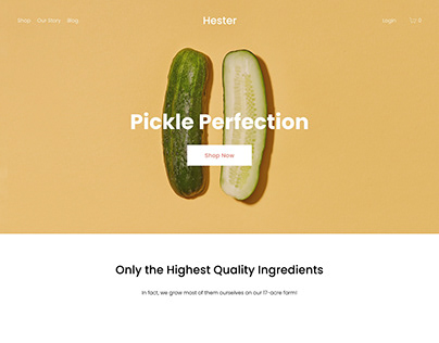 Hester - Website Template - Squarespace