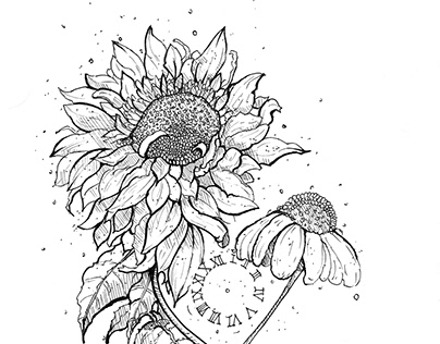 Misaligned Radiance: The Sunflower's Sundial