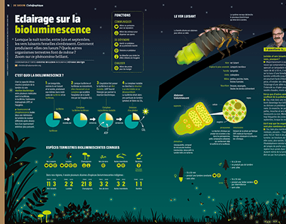 Infographie Bioluminescence (La Salamandre no270)