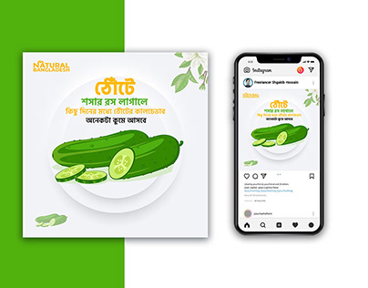 Cucumber Social Media ads Design