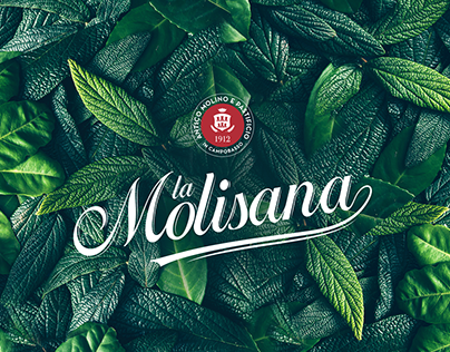 La Molisana: Brand Activation Design