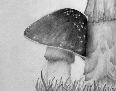 Mushroom Botanical Study