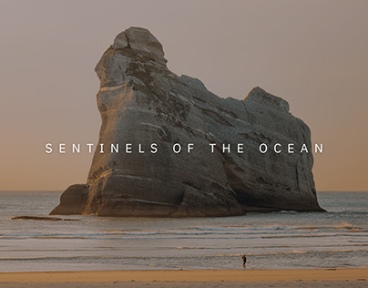 Sentinels of the Ocean