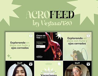 FEED Instagram Acrobacia en Telas