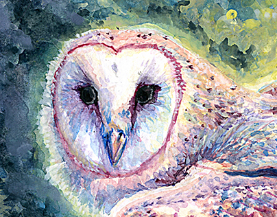 A Moment of Moonlight: The Vulnerable Barn Owl
