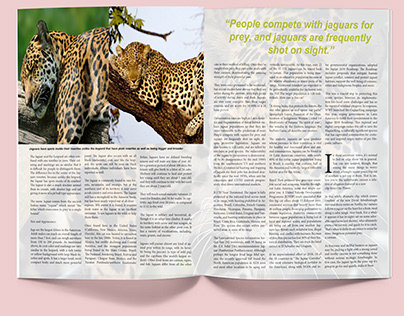 jaguar vs leopard