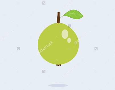 Guava vector 670035841