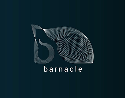 Barnacle [logo] construction and sale of houses