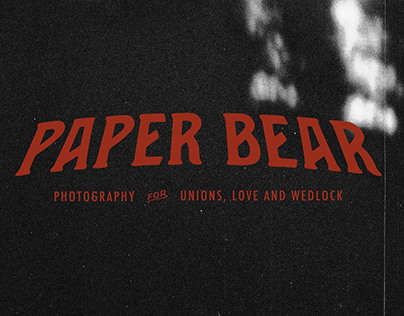 Paper Bear Wedding Photography Branding