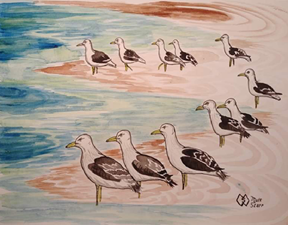 Flock  of Seagulls